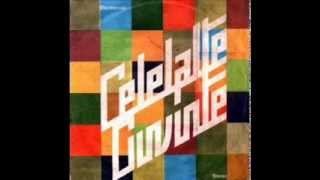 CELELALTE CUVINTE  I  ALBUM  1987 [upl. by Ycnaf]