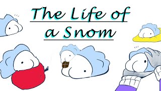 The Life of a Snom Pokemon Sword and Shield Comic Dub [upl. by Edrock]