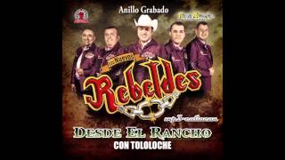 Los Nuevos Rebeldes  Anillo Grabado Desde El Rancho Con Tololoche 2013 [upl. by Llertnek133]