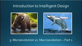 3 Microevolution vs Macroevolution Part 1 [upl. by Solly]