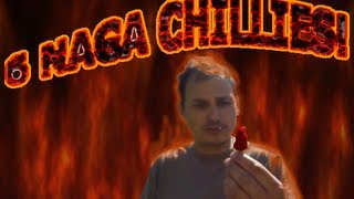 Naga chilli challenge Devonshire idiot attempts to eat 6 naga chilli challenge Me cam [upl. by Malorie]