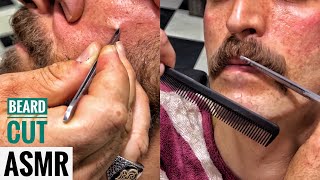 ASMR BEARD CUT and Cheek feather pulling • Mustache growth and grooming [upl. by Obocaj]