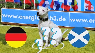 ORAKEL  Wer gewinnt Fußball EM 2024 🇩🇪 🏴󠁧󠁢󠁳󠁣󠁴󠁿  Deutschland gegen Schottland [upl. by Etnahsa]