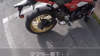 kawasaki Z650RS エンジン始動 レトロモダンスタイリング [upl. by Cartan]