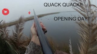 Opening Day Louisiana Duck Hunting Season Coming in Fast [upl. by Lewan]