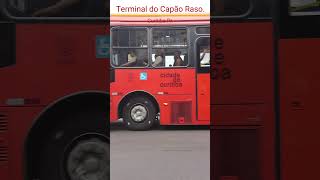 ✅ Biarticulados no Terminal do Capão Raso Curitiba Pr [upl. by Calica545]