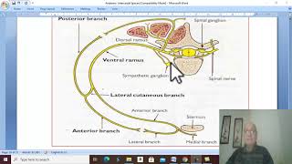 Respiratory module 22  Intercostal and subcostal nerves  by Dr Wahdan [upl. by Eerrehc]