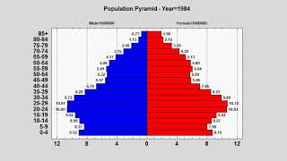 Dynamic Population Pyramid [upl. by Alexis]