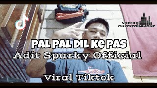 DJ VIRAL PAL PAL DIL KE PASS STYLE OLD  Adit Sparky Official Nwrmxx FULLBASS Mashup 2023 [upl. by Iramo]