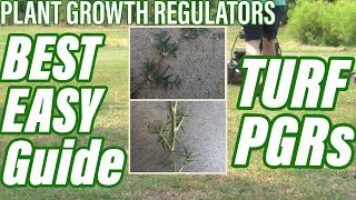 Plant Growth Regulators  The BEST EASIEST Guide  HOW TO USE PGRs on TURF 2019 TIPS [upl. by Lise188]