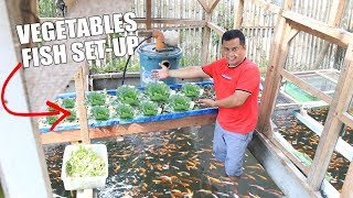 BUILDING HYDROPONICS COLORED FISH TANK SETUP [upl. by Lecram538]