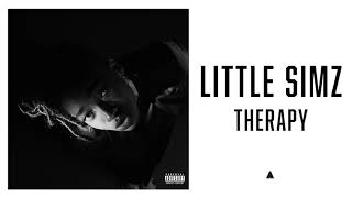 Little Simz  Therapy Official Audio [upl. by Yeldah825]