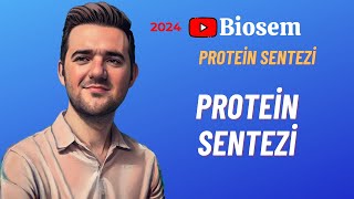 Protein Sentezi  Genden Proteine  Konu Anlatımı 12 Sınıf Biyoloji YKS 2024 [upl. by Bluefarb863]