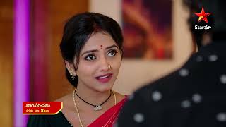 NagaPanchami  Promo  25th Dec 2023  Star Maa Serials  Mon Sat at 8 pm  Star Maa [upl. by Adnoraj]