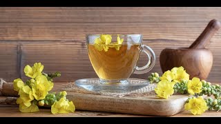 Mullein Tea 3 Superb Benefits That You Need To Know [upl. by Ahen344]