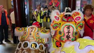 香港譚公誕2023  十多醒獅齊拜譚公、入廟出廟全過程。More than 10 Lions celebrating bowing and entering Tam Kung temple [upl. by Novek]