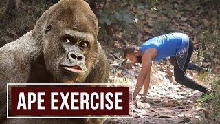 The Ape Exercise  Animal Walk Exercises [upl. by Lotte]