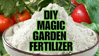 Magic Fertilizer For All Vegetables  100 Success Results [upl. by Merwin]