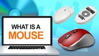 What is a Computer Mouse  Definition amp Types of Mouse  How to Use Mouse  Computer Hardware [upl. by Ahseela]