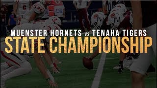 2017 State Championship Muenster Hornets vs Tenaha Tigers  GAME HIGHLIGHTS [upl. by Hooge328]