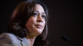 ‘Lying for the left’ US media denies Kamala Harris was ‘border czar’ [upl. by Lednahc]