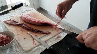 Come sfilettare il pesce una palamita o un tonno How to fillet the fish palamita tuna [upl. by Aytak]