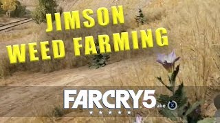 Far Cry 5 Jimson Weed  Jimson Weed farming location [upl. by Elna]