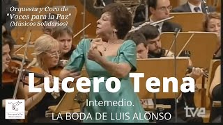 Intermedio La boda de Luís Alonso Castañuelas Lucero Tena [upl. by Acherman]