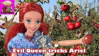 Evil Queen Tricks Ariel  Part 1  The Mermaid Series [upl. by Zillah]