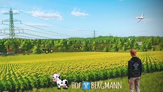 Vamos a sembrar 3 en HOF BERGMANN🚜FARMING SIMULATOR 22 [upl. by Ahsatsana]