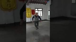 Xing Yi Quan Hsing I Chuan Dragon animal 形意拳 十二形 龙形 Hình ý quyền long [upl. by Vorfeld]