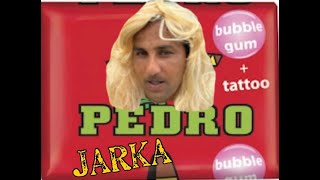 JARKA  Pedro Žuvačky COVER  VERSION  OFFICIALVideo [upl. by Amberly402]