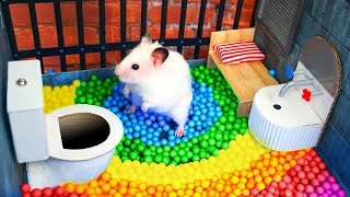 Hamster Escapes the Awesome Maze for Pets in real life 🐹 The Best Hamster Challenges [upl. by Aihcela717]