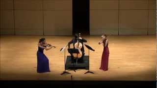 Brevard First Mondays DOHNANYI Serenade for Trio in C Major Op 10 [upl. by Edric587]