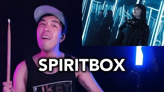 Spiritbox Jaded  reaction amp drum cover  tysondang [upl. by Yancey216]