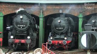 EisenbahnFest Staßfurt 12  Steam Train  Züge [upl. by Maurene910]