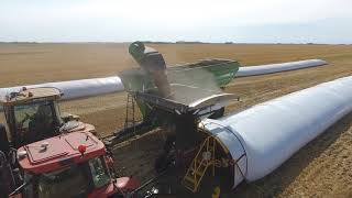 Pro Grain Bagger amp JampM Grain Cart  Product Demo  Flaman Agriculture [upl. by Scrivenor]