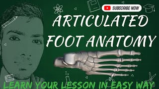 Articulated Foot Bangla Demo Inferior Extremity Anatomy anatomy prof mbbs viva bones [upl. by Ainna]