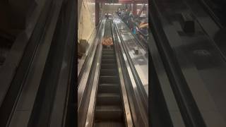 Wrong Way Down This Homeless Mans Escalator Ride is a DO NOT TRY [upl. by Gninnahc]