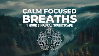 Calming Breaths  Guided Drone and Binaural Beats 8hz  1 Hour soundscape in C at 75 bpm [upl. by Sherar]