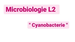 Microbiologie L2  les cyanobactérie [upl. by Longwood]