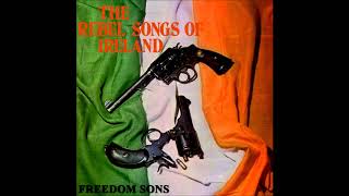 Freedom Sons  The Foggy Dew  Irish Rebel Music [upl. by Gustavo]