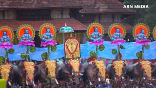 Thrissur Pooram Kudamattam 2016 തൃശൂർ പൂരം കുടമാറ്റം [upl. by Eityak]