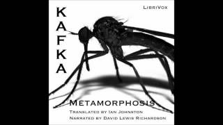 The Metamorphosis by Franz Kafka Free Audio Book in English Language [upl. by Eceirahs615]