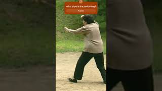 Kung Fu Legends Daughter  Sun Jianyun kungfu wushu sunstyle [upl. by Ronaele]