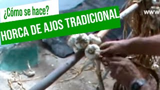 🧄🧄 Elaboración de la horca de ajos artesanal  Vivero Huerta Barbereta huertos [upl. by Atiuqiram]