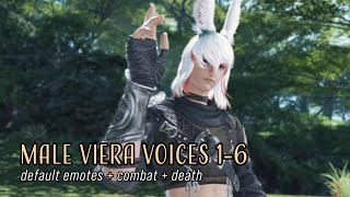 FFXIV Male Viera  Voices 16 [upl. by Jacobsohn]