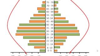 Population Pyramids [upl. by Lower]