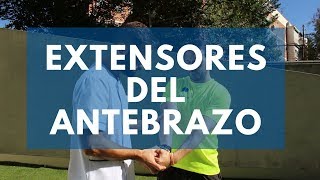 Estiramiento de los extensores del antebrazo [upl. by Melanie788]