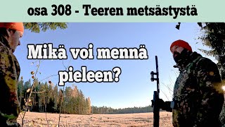 Osa 308  Teeren metsästystä  20232024 [upl. by Eelrihs]